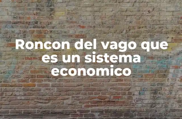 Roncon Del Vago que es un Sistema Economico