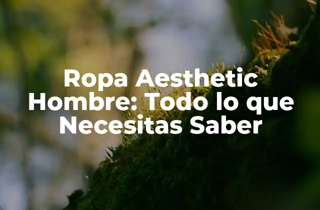Ropa Aesthetic Hombre: Todo Lo que Necesitas Saber