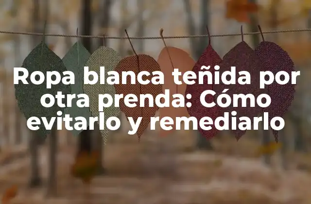 Ropa Blanca Teñida por Otra Prenda: Cómo Evitarlo y Remediarlo