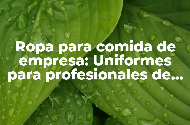 Ropa para Comida de Empresa: Uniformes para Profesionales de la Industria Alimentaria