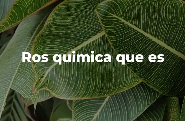 Ros Quimica que es 2 El color rosa en la química y su relevancia