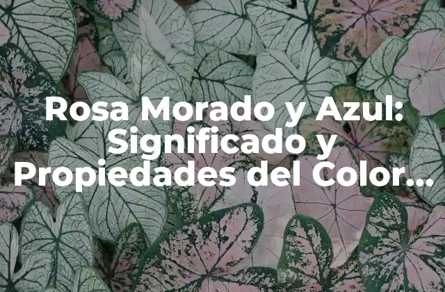 Rosa Morado y Azul: Significado y Propiedades Del Color Terapéutico