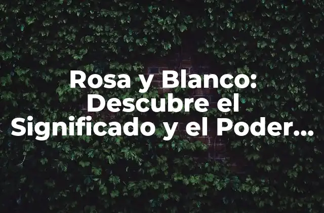 El Significado del Rosa