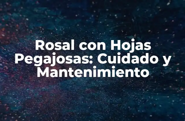 Rosal con Hojas Pegajosas: Cuidado y Mantenimiento