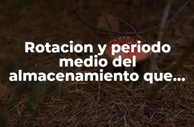 Rotacion y Periodo Medio Del Almacenamiento que es