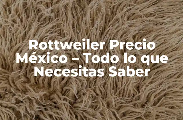 Rottweiler Precio México – Todo Lo que Necesitas Saber