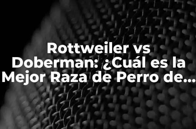 Rottweiler Vs Doberman: ¿cuál es la Mejor Raza de Perro de Guardia?