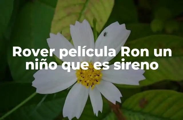 El viaje de un niño entre lo humano y lo marino