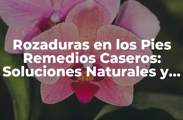 Rozaduras en los Pies Remedios Caseros: Soluciones Naturales y Efectivas