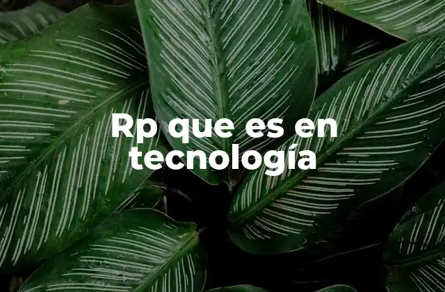 Rp que es en Tecnología