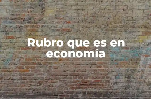 Rubro que es en Economía