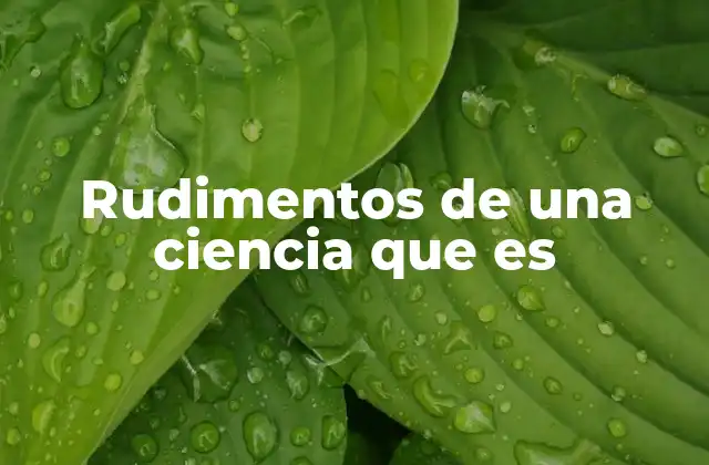 Rudimentos de una Ciencia que es