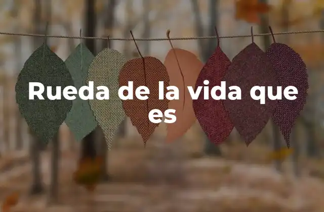 Rueda de la Vida que es