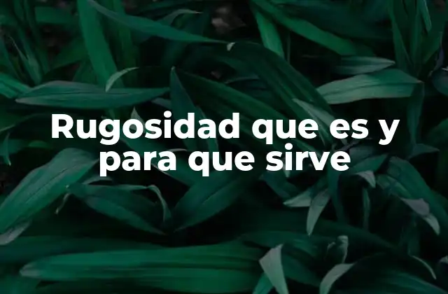 Rugosidad que es y para que Sirve