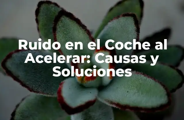 Causas de Ruido en el Coche al Acelerar