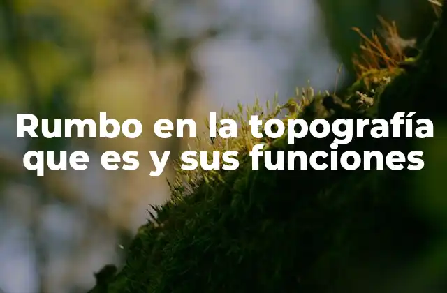 Rumbo en la Topografía que es y Sus Funciones