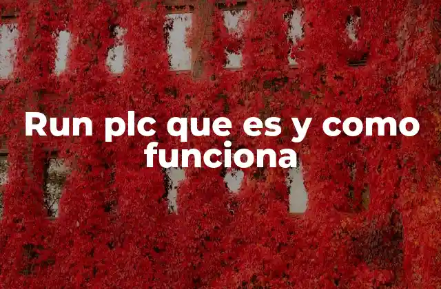 Run Plc que es y como Funciona