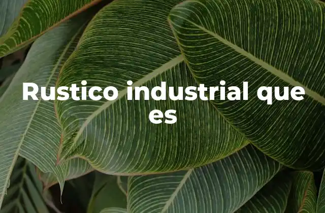Rustico Industrial que es