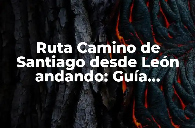 Ruta Camino de Santiago desde León Andando: Guía Completa y Detallada