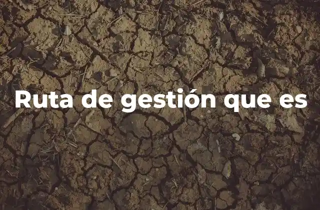 Ruta de Gestión que es