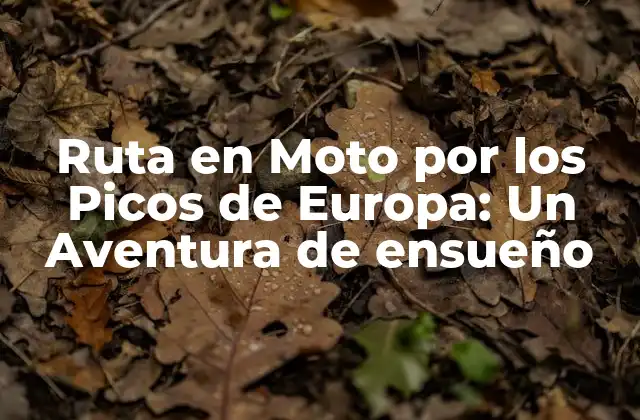 Ruta en Moto por los Picos de Europa: un Aventura de Ensueño