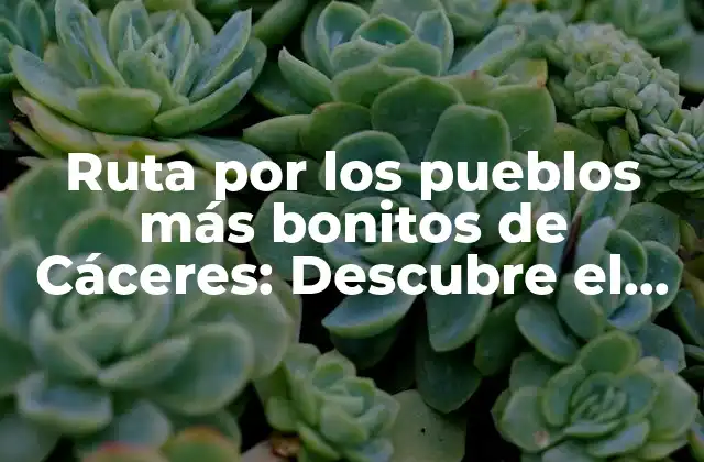 Ruta por los Pueblos Más Bonitos de Cáceres: Descubre el Encanto Rural de Extremadura