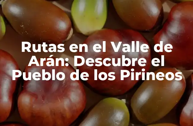 Rutas en el Valle de Arán: Descubre el Pueblo de los Pirineos