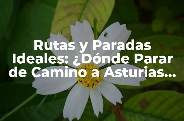 Rutas y Paradas Ideales: ¿dónde Parar de Camino a Asturias desde Barcelona?