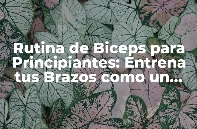 Rutina de Biceps para Principiantes: Entrena Tus Brazos como un Pro