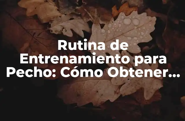 Rutina de Entrenamiento para Pecho: Cómo Obtener un Pecho Fuerte y Definido