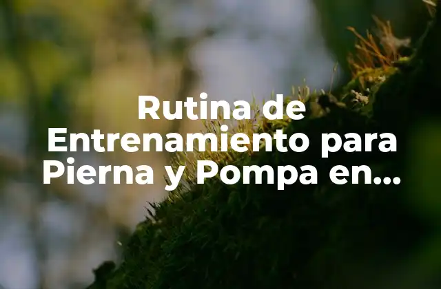 Rutina de Entrenamiento para Pierna y Pompa en Casa: Guía Completa