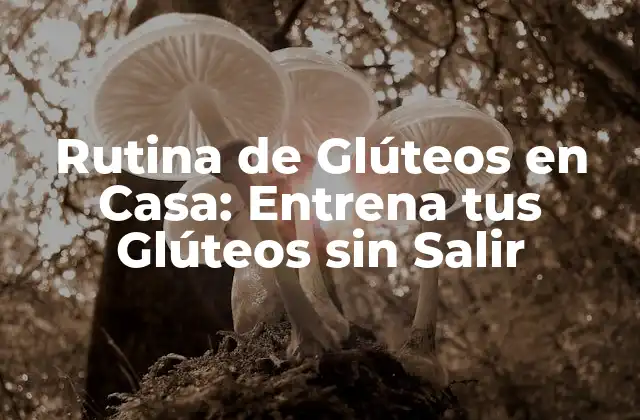 Rutina de Glúteos en Casa: Entrena Tus Glúteos sin Salir