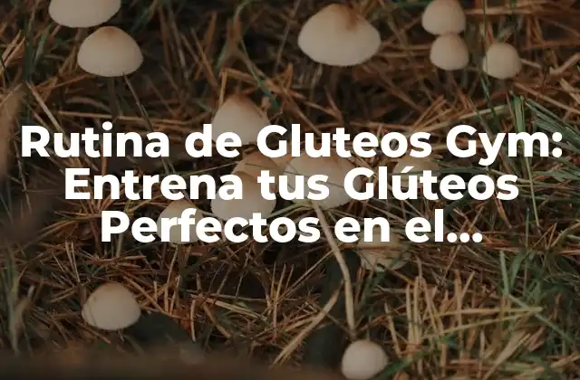 Rutina de Gluteos Gym: Entrena Tus Glúteos Perfectos en el Gimnasio