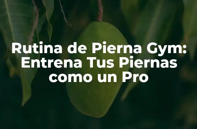 Rutina de Pierna Gym: Entrena Tus Piernas como un Pro