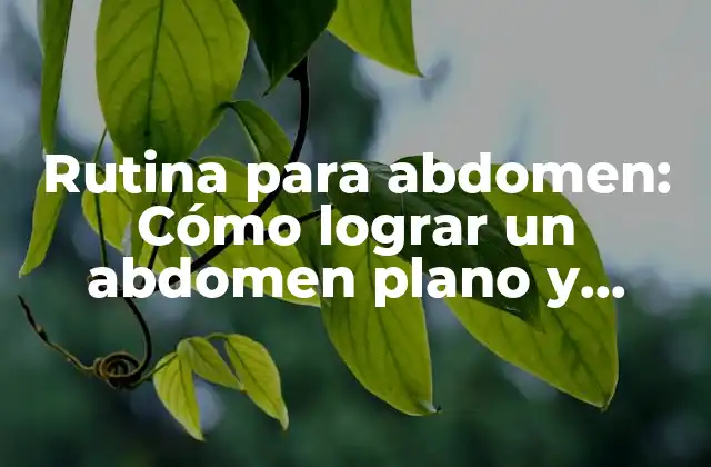 Rutina para Abdomen: Cómo Lograr un Abdomen Plano y Fuerte