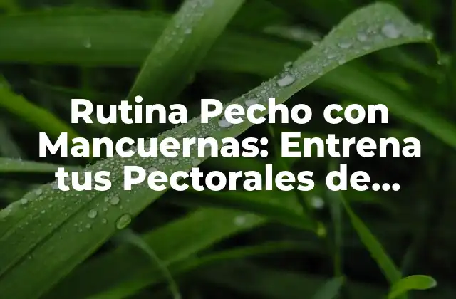 Rutina Pecho con Mancuernas: Entrena Tus Pectorales de Forma Efectiva 2 Beneficios de la Rutina Pecho con Mancuernas