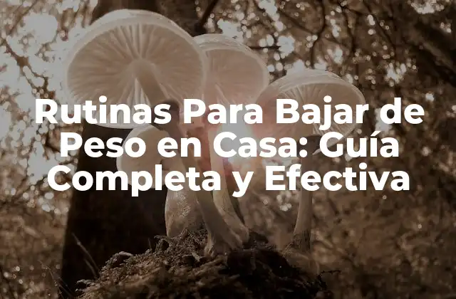 Rutinas para Bajar de Peso en Casa: Guía Completa y Efectiva