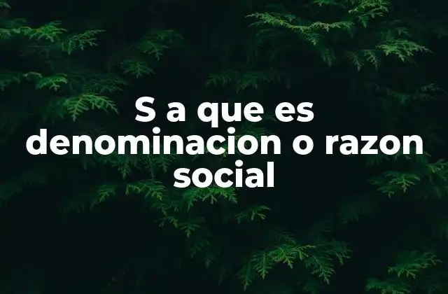 S a que es Denominacion o Razon Social