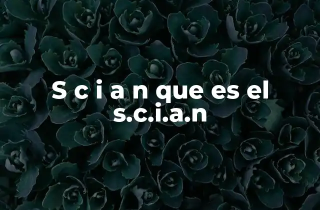 S C I a N que es el S.c.i.a.n