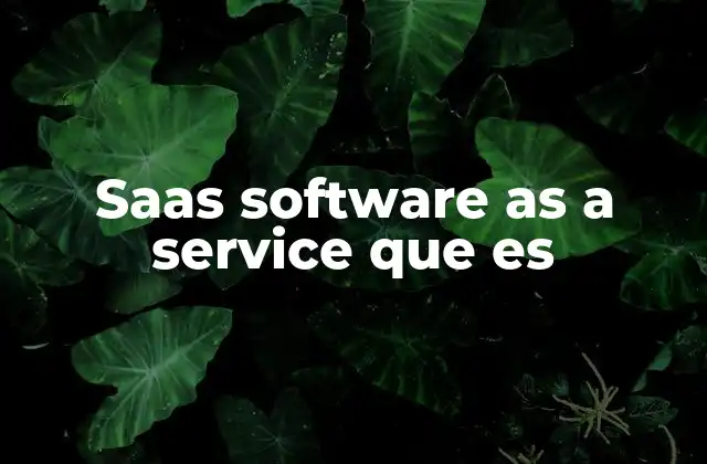 Saas Software As a Service que es