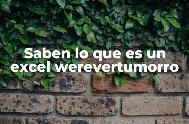 Saben Lo que es un Excel Werevertumorro