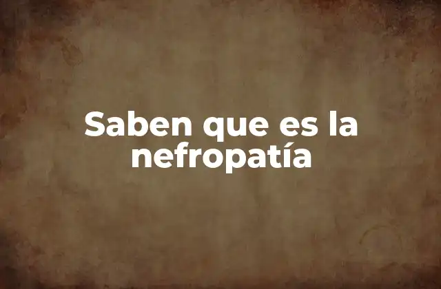 Saben que es la Nefropatía 2 Cómo afecta la nefropatía al sistema renal