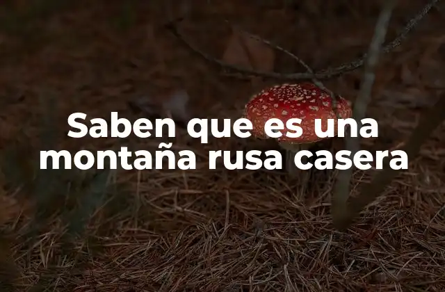 Saben que es una Montaña Rusa Casera