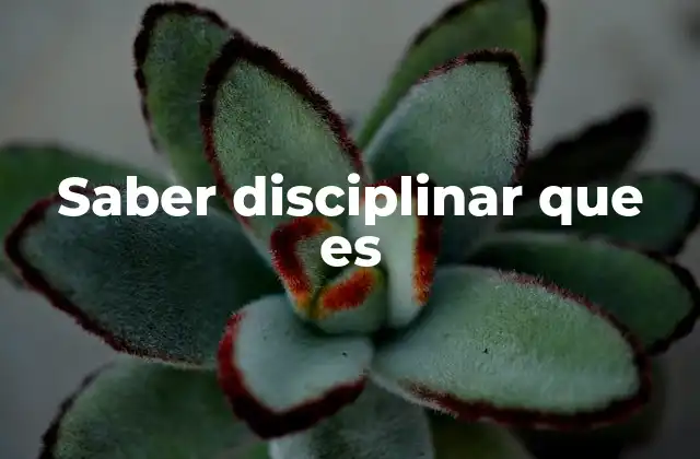 Saber Disciplinar que es