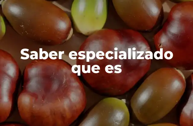 Saber Especializado que es