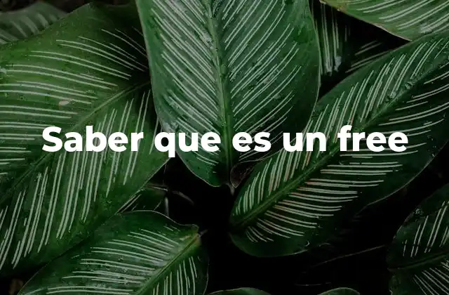 Saber que es un Free