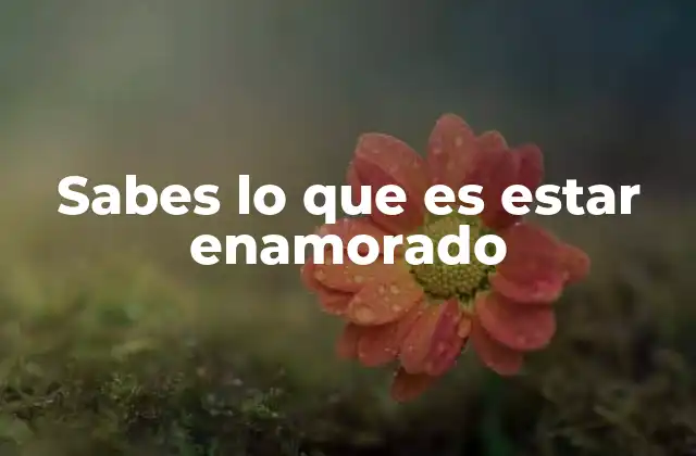 Sabes Lo que es Estar Enamorado