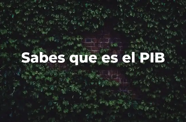 Sabes que es el Pib