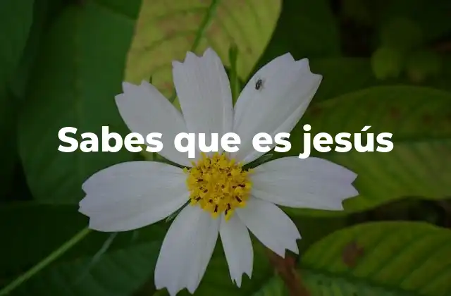 Sabes que es Jesús
