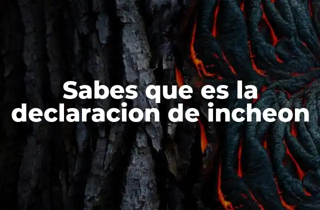 Sabes que es la Declaracion de Incheon